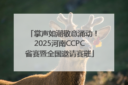 掌声如潮敬意涌动！2025河南CCPC省赛暨全国邀请赛璀
