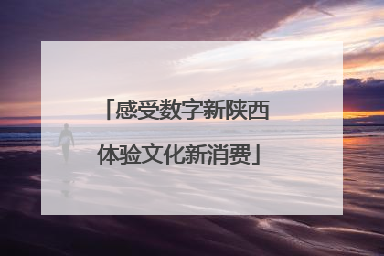 感受数字新陕西 体验文化新消费