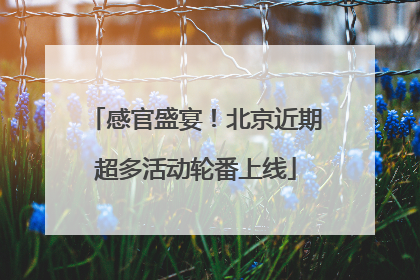 感官盛宴！北京近期超多活动轮番上线