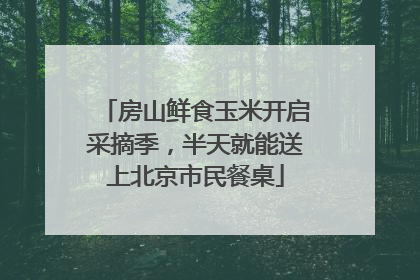 房山鲜食玉米开启采摘季，半天就能送上北京市民餐桌