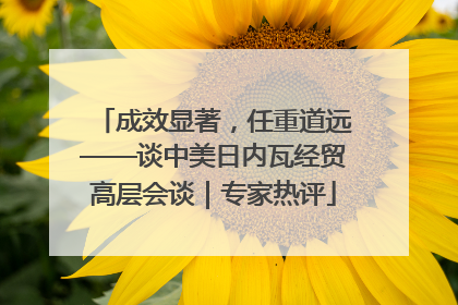 成效显著，任重道远——谈中美日内瓦经贸高层会谈｜专家热评