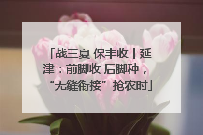 战三夏 保丰收丨延津：前脚收 后脚种，“无缝衔接”抢农时