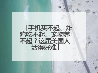 手机买不起、炸鸡吃不起、宠物养不起？这届美国人活得好难
