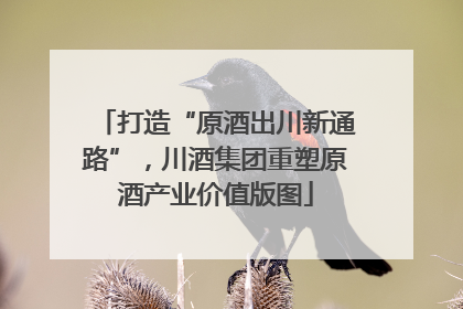 打造“原酒出川新通路”，川酒集团重塑原酒产业价值版图
