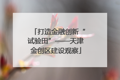 打造金融创新“试验田”——天津金创区建设观察
