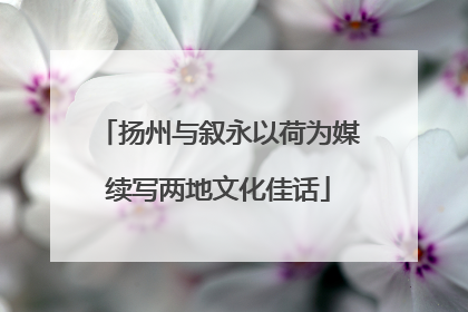 扬州与叙永以荷为媒续写两地文化佳话