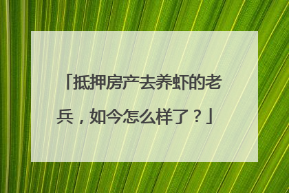 抵押房产去养虾的老兵，如今怎么样了？