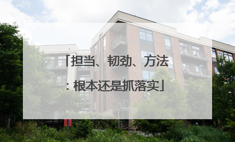 担当、韧劲、方法：根本还是抓落实