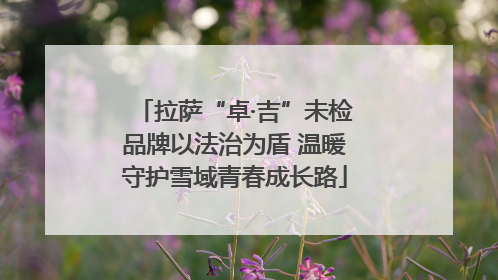 拉萨“卓·吉”未检品牌以法治为盾 温暖守护雪域青春成长路