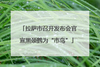 拉萨市召开发布会官宣黑颈鹤为“市鸟”