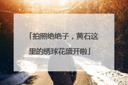 拍照绝绝子，黄石这里的绣球花盛开啦