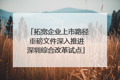 拓宽企业上市路径 重磅文件深入推进深圳综合改革试点