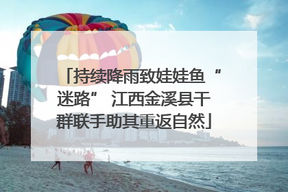 持续降雨致娃娃鱼“迷路” 江西金溪县干群联手助其重返自然