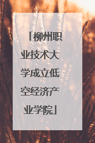 柳州职业技术大学成立低空经济产业学院