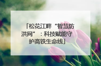 松花江畔“智慧防洪网”：科技赋能守护高铁生命线