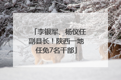 李银军、杨仪任副县长！陕西一地任免7名干部