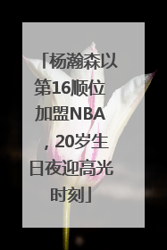 杨瀚森以第16顺位加盟NBA，20岁生日夜迎高光时刻
