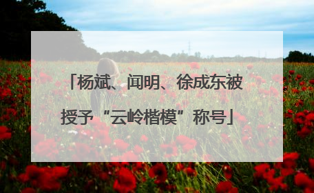 杨斌、闻明、徐成东被授予“云岭楷模”称号
