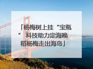杨梅树上挂“宝瓶” 科技助力定海晚稻杨梅走出海岛