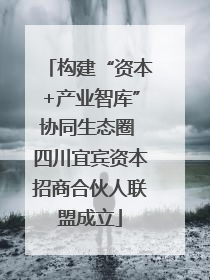构建“资本+产业智库”协同生态圈 四川宜宾资本招商合伙人联盟成立