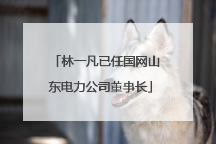 林一凡已任国网山东电力公司董事长