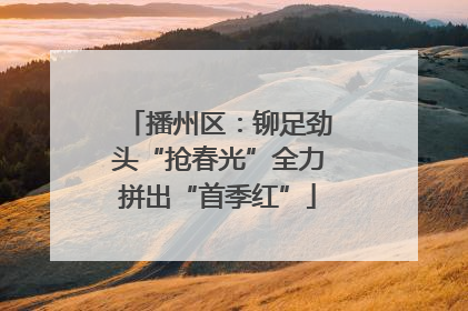 播州区：铆足劲头“抢春光”全力拼出“首季红”
