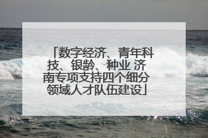 数字经济、青年科技、银龄、种业 济南专项支持四个细分领域人才队伍建设