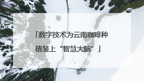 数字技术为云南咖啡种植装上“智慧大脑”