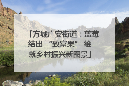 方城广安街道：蓝莓结出 “致富果” 绘就乡村振兴新图景