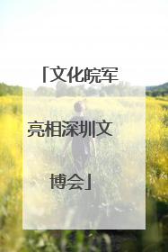 文化皖军亮相深圳文博会