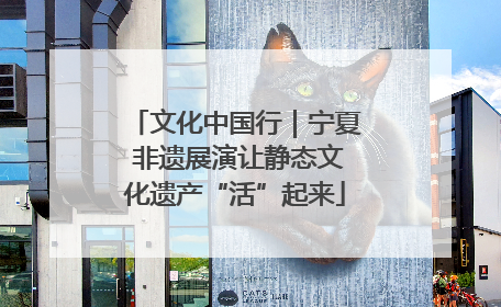 文化中国行｜宁夏 非遗展演让静态文化遗产“活”起来
