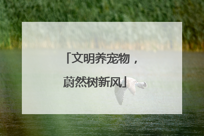 文明养宠物，蔚然树新风