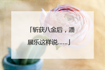 斩获八金后，潘展乐这样说……
