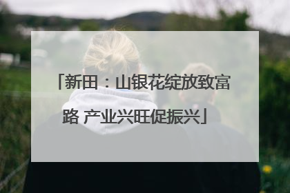 新田：山银花绽放致富路 产业兴旺促振兴
