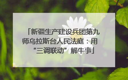 新疆生产建设兵团第九师乌拉斯台人民法庭：用“三调联动”解牛事