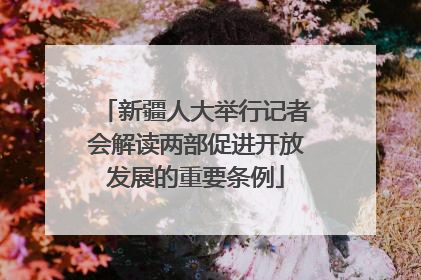 新疆人大举行记者会解读两部促进开放发展的重要条例
