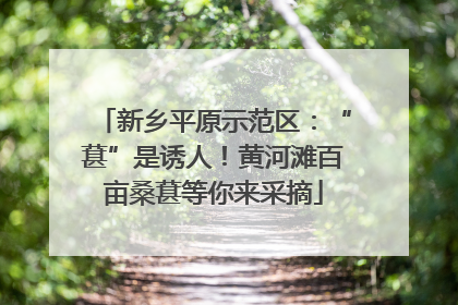 新乡平原示范区:“葚”是诱人!黄河滩百亩桑葚等你来采摘