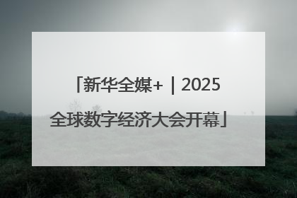 新华全媒+｜2025全球数字经济大会开幕