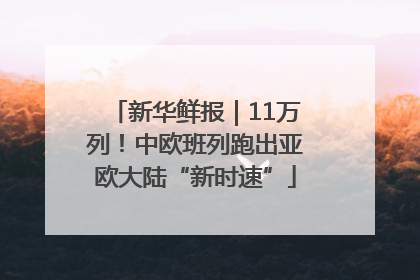 新华鲜报｜11万列！中欧班列跑出亚欧大陆“新时速”