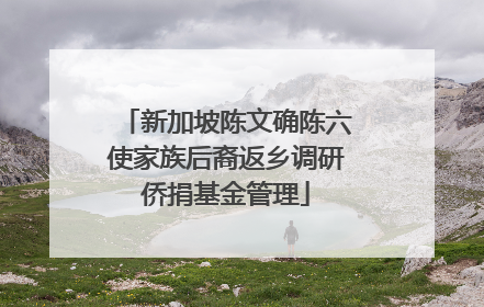 新加坡陈文确陈六使家族后裔返乡调研侨捐基金管理