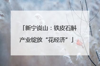 新宁崀山：铁皮石斛产业绽放“花经济”