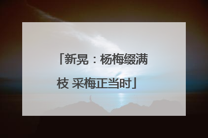 新晃：杨梅缀满枝 采梅正当时