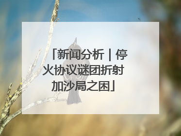 新闻分析｜停火协议谜团折射加沙局之困