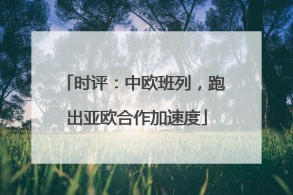 时评：中欧班列，跑出亚欧合作加速度