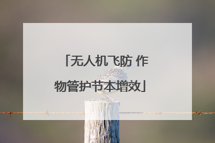 无人机飞防 作物管护节本增效