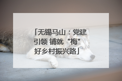 无锡马山：党建引领 铺就“梅”好乡村振兴路