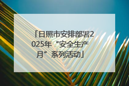 日照市安排部署2025年“安全生产月”系列活动