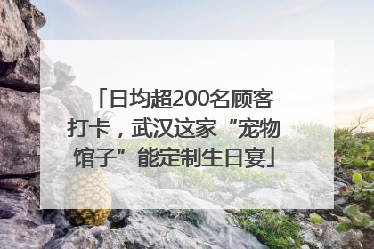 日均超200名顾客打卡，武汉这家“宠物馆子”能定制生日宴