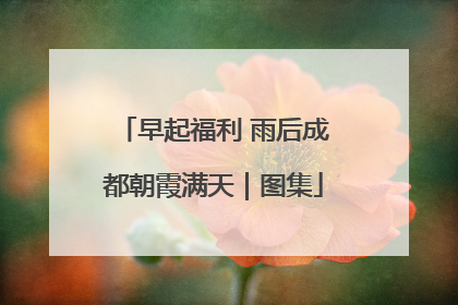 早起福利 雨后成都朝霞满天｜图集