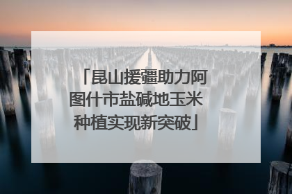 昆山援疆助力阿图什市盐碱地玉米种植实现新突破
